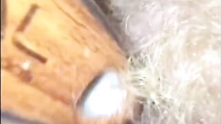 Creamy Compilation