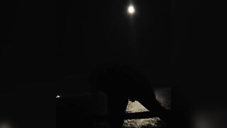 Woman Toys Twat inside Moonlight