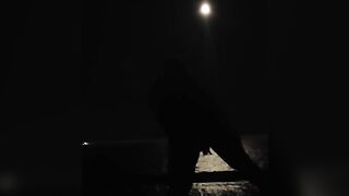 Woman Toys Twat inside Moonlight