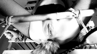The Goddess and the Cage II: the SOAK Version - Countless Orgasms