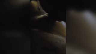 BOMBSHELL HISPANIC BLOWING MY PENIS GROANING