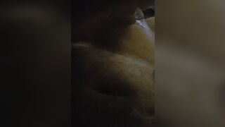 BOMBSHELL HISPANIC BLOWING MY PENIS GROANING