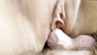 Wild Sex with Lustful Red Haired Older Bitch! Penis into Twat Close-up, Anal,