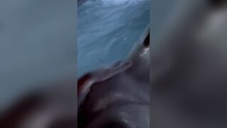 Cutie Bath-Tub Finger Machine