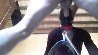 Bound, Blinfolded and Ball Gagged then has to Suck a Huge Dick,