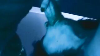 Can anyone Screw my Wifey Harder and make it Feel the Fun