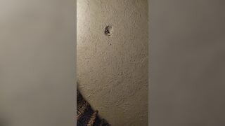 My Next Door Pregnant Fiance Wanted some Rough Penis