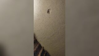 My Next Door Pregnant Fiance Wanted some Rough Penis