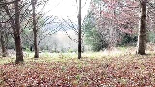 Quick, nervous boned out into nature while hiding from cars.