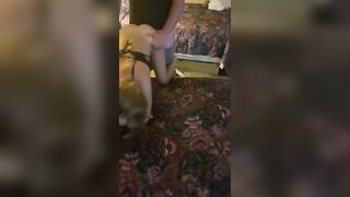 Ex-Wife Gets Fuck by Friend while his Ex-Wife Plays with her