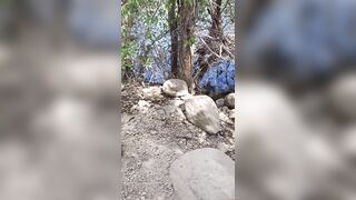 Good Young Latino milf Sucking Off White Cock into the Woods!!!