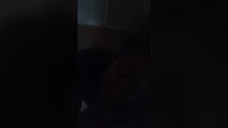 She Blowing my Fat Ebony Cock
