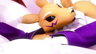Renamon y Maestro Teniendo un Tiempo De Día.