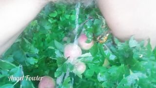 Unshaved Twat Pee over Apples inside the Garden - Angel Fowler