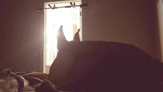Slim Hispanic milf comes over to got Dicked down by the Dr! Part one(groaning)