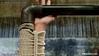 Tied lesbo anal banged inside device