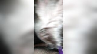 Housewife  sucking my Cock and Nuts
