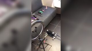 Help me Add to my VIBRATOR COLLECTION
