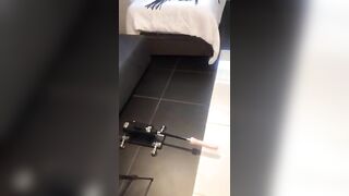 Help me Add to my VIBRATOR COLLECTION