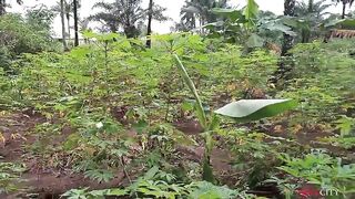 Local land agent boned his female client