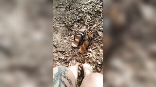 She Snaps Twigs between her Big Feet