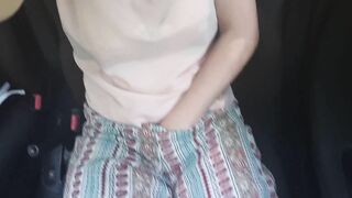 Exhibitionist Masturbates inside the Vehicle and Peeing into Nature
