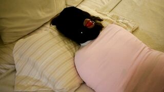 Mummified Bdsm sluts Gagged