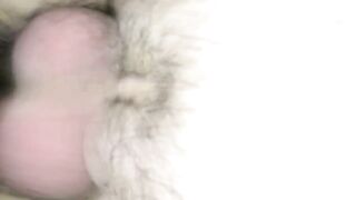 Creaming new bf Dick for first Cummed together