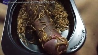 Mealworms On Penis