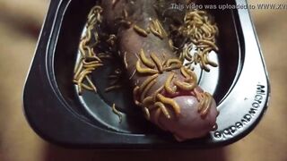 Mealworms On Penis
