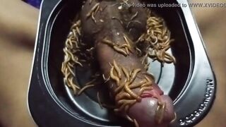 Mealworms On Penis