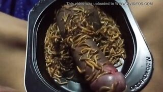 Mealworms On Penis