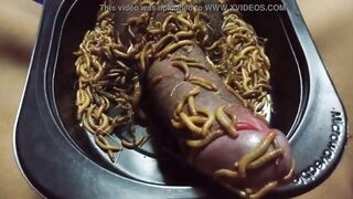 Mealworms On Penis