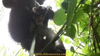 Adorable african fucking her twat public