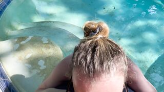 Giving the Next Door a Performance with a Blowjob/fuck into the Pool during the Day.