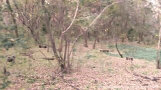 Halloween 2020 - Bone-sucker Lures Viсtim into the Forest for get Cum