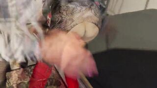 Dom fucks the slave women analt