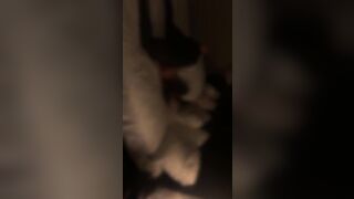 White ex-wifey falls into love with first long african penis