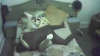 stepmom cheating with a ebony stallion