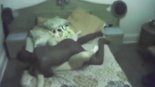 stepmom cheating with a ebony stallion