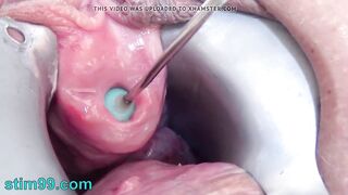 Stim99 intense peehole fucking with long balls sex toy