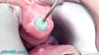 Stim99 intense peehole fucking with long balls sex toy