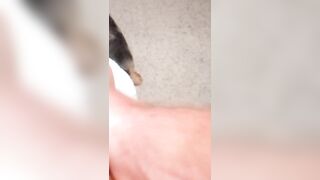 Loves Squirting