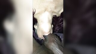 Suck It, Rides It; Suck it - mature Old Lady Enjoying being at Home