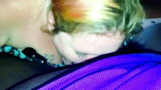 Single Cougar Blows Trainer Cock Quick before Kickoff