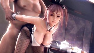 3D Compilation: Doa Honoka Ayane Mai Shiranui BunnyGirl Dess Uncensored Anime Dead or Alive