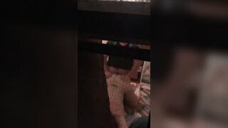 Hannah Horn's Auntie Panda Exposed As A Whore