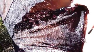 Real cougar fucking her son, hottest sex tape ever