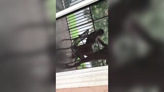 View this Fat Soak Snatch Squirt all over before taking her Cucks Penis!