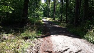 Whipping Nude Cunt on Outdoors Trail
